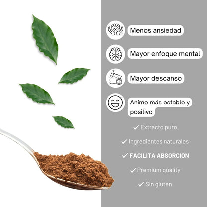 1 Mes y medio de MushroomCoffee