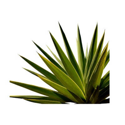 Alt Image